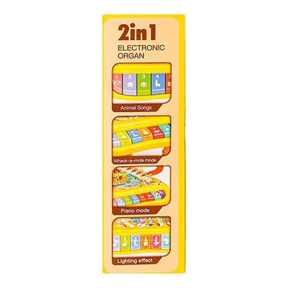2 IN 1 MULTIFUNCTION DUCK SLIDE & PIANO SET FOR KIDS